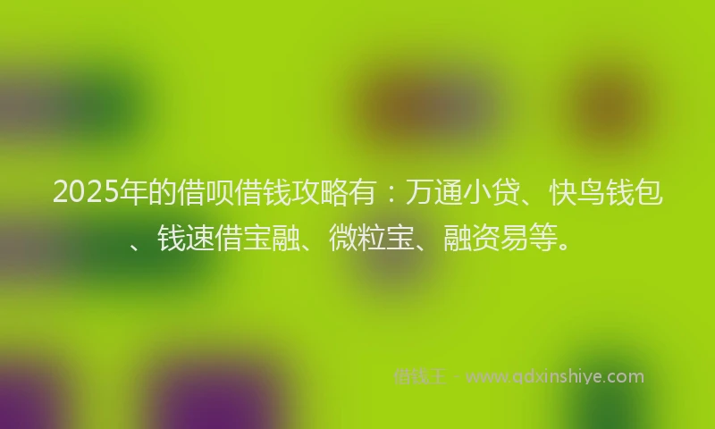 2025年的借呗借钱攻略有：万通小贷、快鸟钱包、钱速借宝融、微粒宝、融资易等。