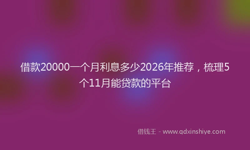 借款20000一个月利息多少2026年推荐,梳理5个11月能贷款的平台