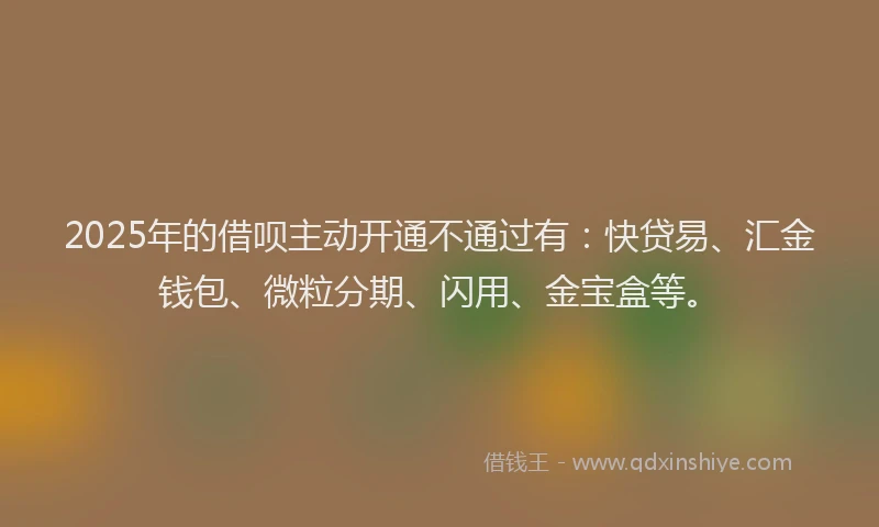 2025年的借呗主动开通不通过有:快贷易、汇金钱包、微粒分期、闪用、金宝盒等。