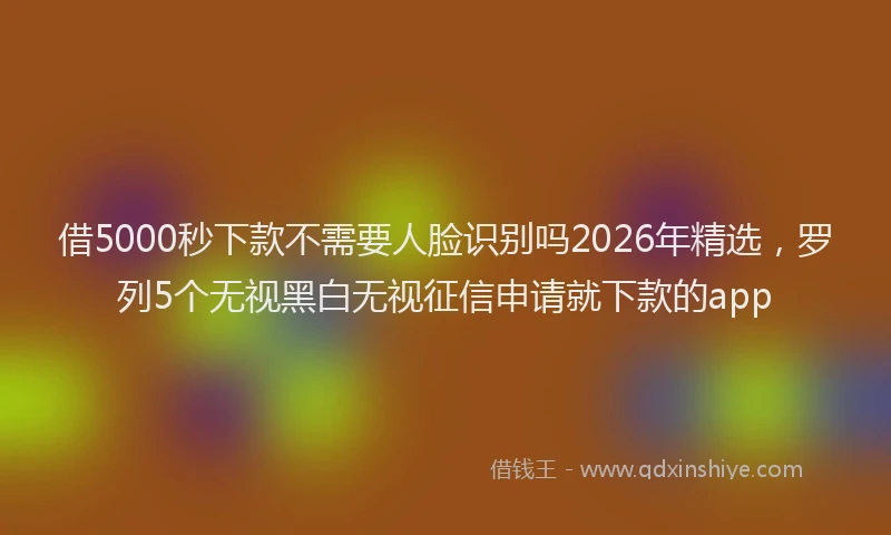 借5000秒下款不需要人脸识别吗2026年精选，罗列5个无视黑白无视征信申请就下款的app