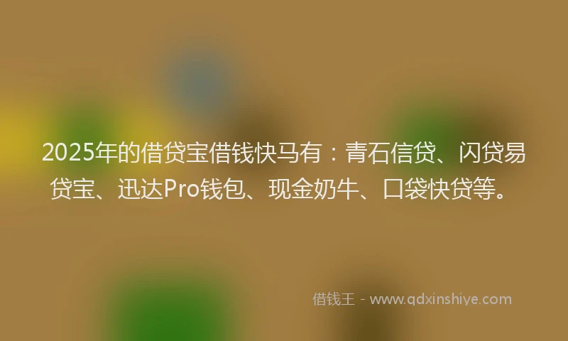 2025年的借贷宝借钱快马有:青石信贷、闪贷易贷宝、迅达Pro钱包、现金奶牛、口袋快贷等。