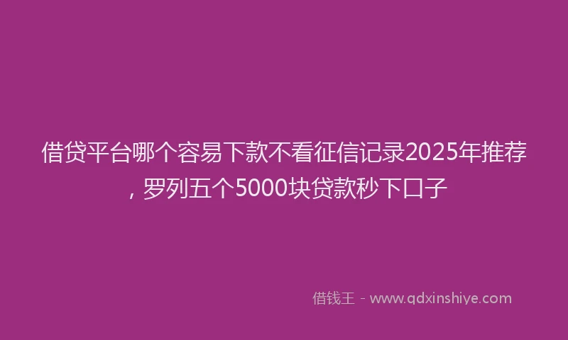 借贷平台哪个容易下款不看征信记录2025年推荐，罗列五个5000块贷款秒下口子