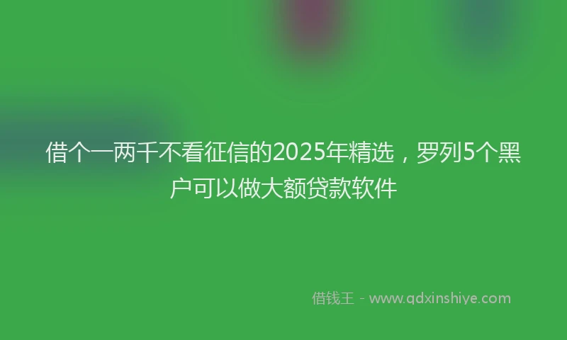 借个一两千不看征信的2025年精选，罗列5个黑户可以做大额贷款软件