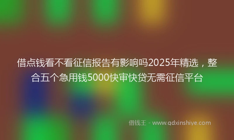 借点钱看不看征信报告有影响吗2025年精选,整合五个急用钱5000快审快贷无需征信平台