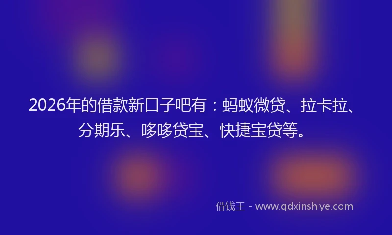 2026年的借款新口子吧有：蚂蚁微贷、拉卡拉、分期乐、哆哆贷宝、快捷宝贷等。