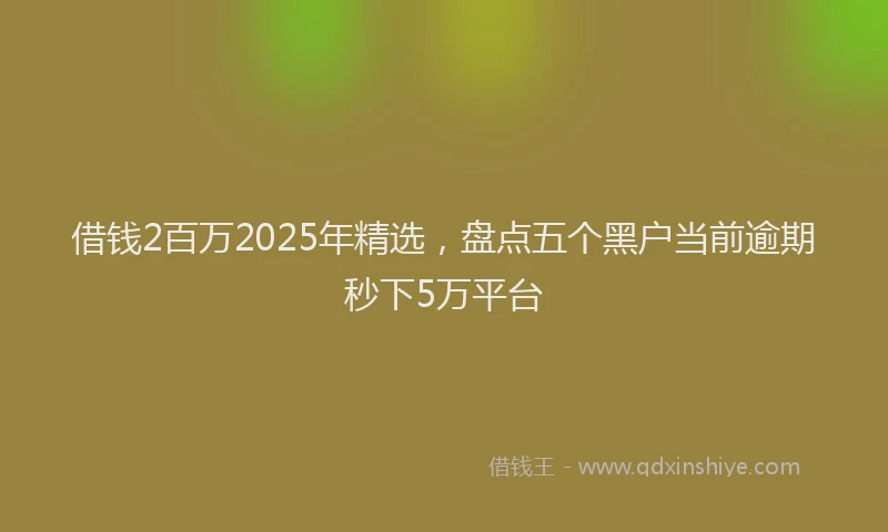借钱2百万2025年精选,盘点五个黑户当前逾期秒下5万平台