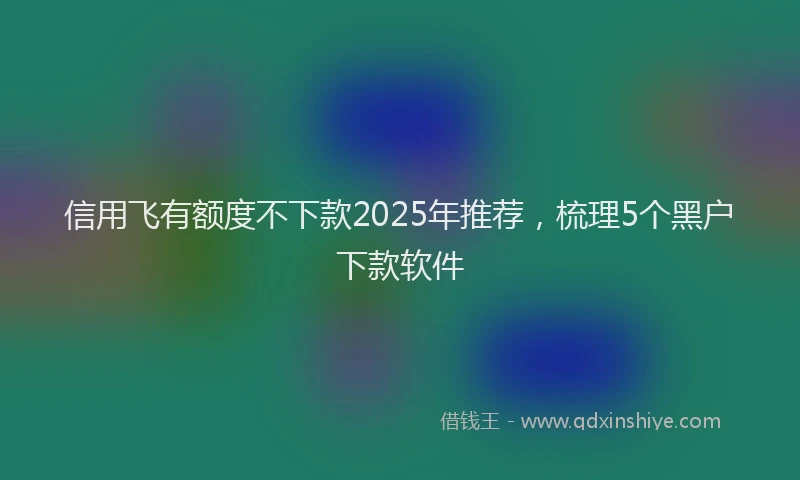 信用飞有额度不下款2025年推荐，梳理5个黑户下款软件