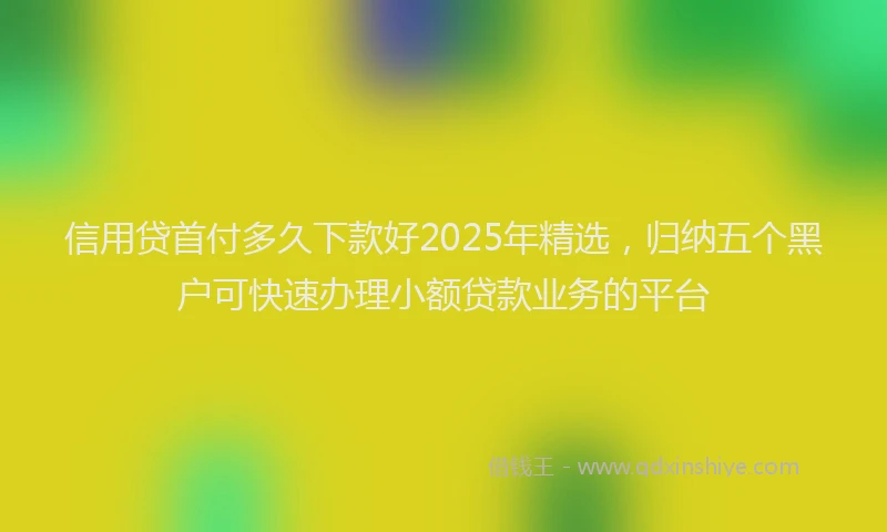 信用贷首付多久下款好2025年精选，归纳五个黑户可快速办理小额贷款业务的平台