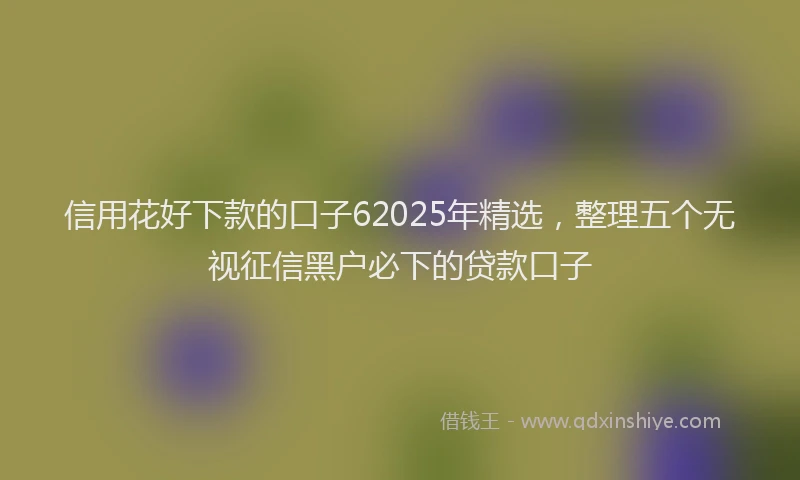 信用花好下款的口子62025年精选，整理五个无视征信黑户必下的贷款口子