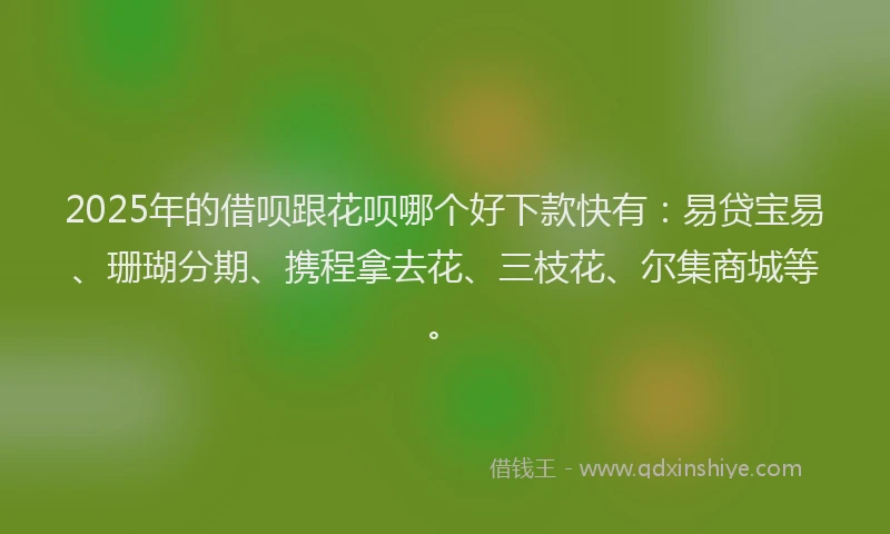 2025年的借呗跟花呗哪个好下款快有：易贷宝易、珊瑚分期、携程拿去花、三枝花、尔集商城等。