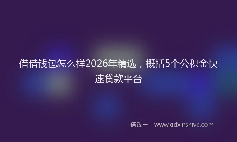 借借钱包怎么样2026年精选，概括5个公积金快速贷款平台