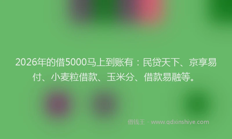 2026年的借5000马上到账有:民贷天下、京享易付、小麦粒借款、玉米分、借款易融等。