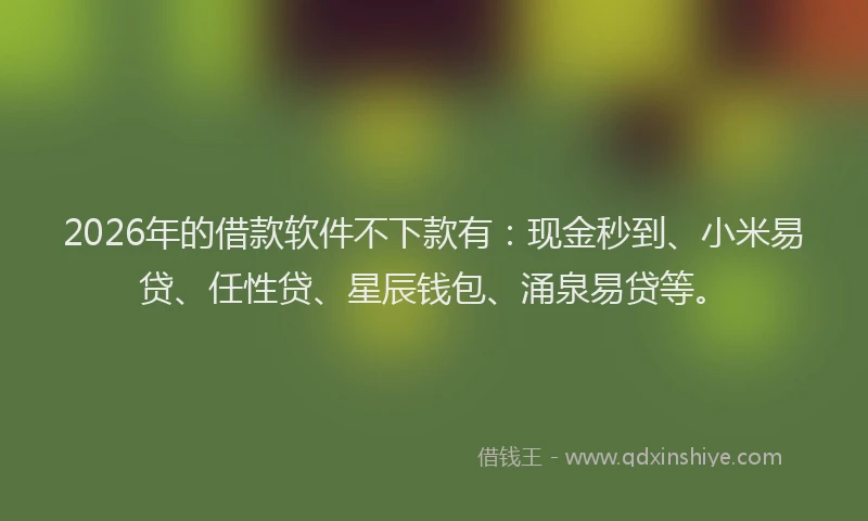 2026年的借款软件不下款有：现金秒到、小米易贷、任性贷、星辰钱包、涌泉易贷等。