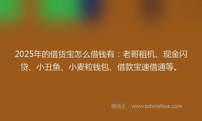 2025年的借货宝怎么借钱有：老哥租机、现金闪贷、小丑鱼、小麦粒钱包、借款宝速借通等。