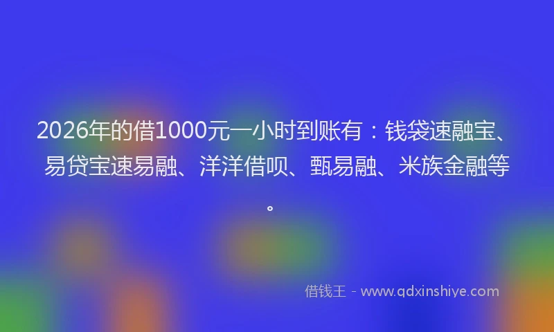2026年的借1000元一小时到账有：钱袋速融宝、易贷宝速易融、洋洋借呗、甄易融、米族金融等。