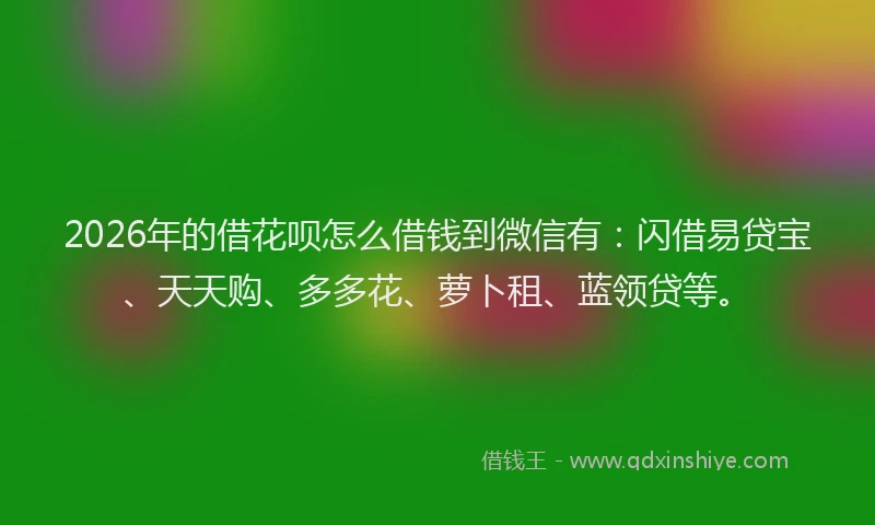 2026年的借花呗怎么借钱到微信有：闪借易贷宝、天天购、多多花、萝卜租、蓝领贷等。