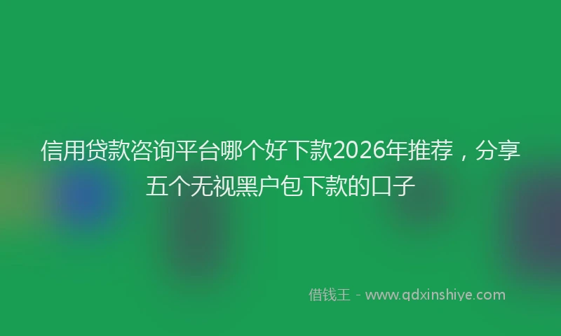 信用贷款咨询平台哪个好下款2026年推荐，分享五个无视黑户包下款的口子