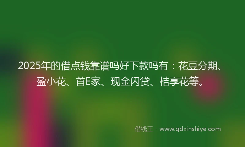 2025年的借点钱靠谱吗好下款吗有：花豆分期、盈小花、首E家、现金闪贷、桔享花等。