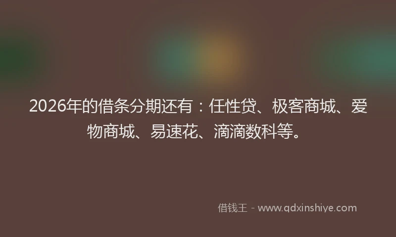 2026年的借条分期还有:任性贷、极客商城、爱物商城、易速花、滴滴数科等。