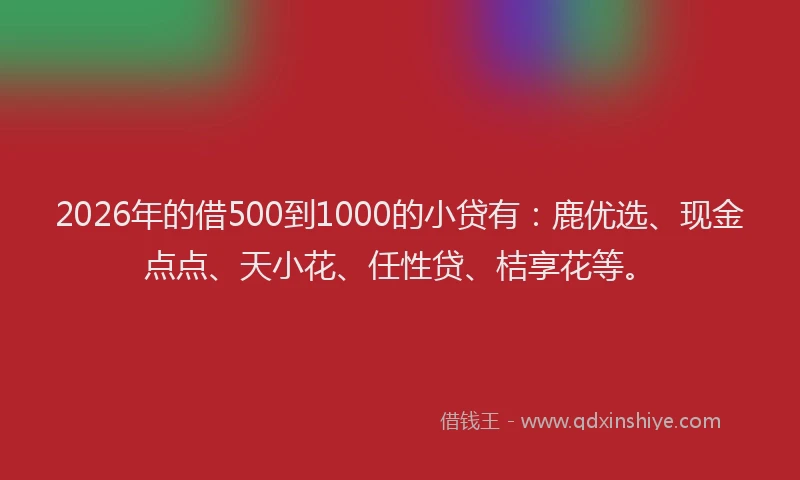 2026年的借500到1000的小贷有:鹿优选、现金点点、天小花、任性贷、桔享花等。