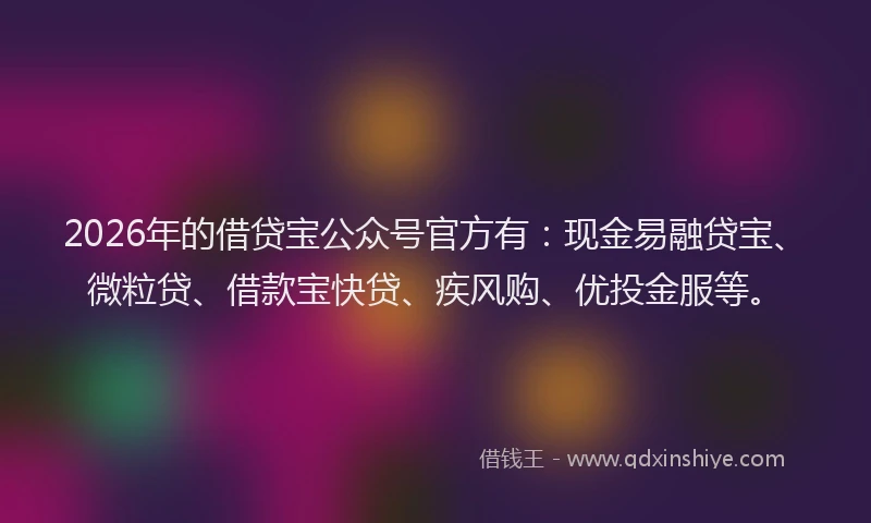2026年的借贷宝公众号官方有:现金易融贷宝、微粒贷、借款宝快贷、疾风购、优投金服等。