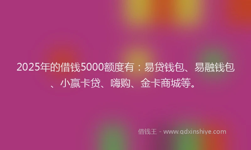 2025年的借钱5000额度有:易贷钱包、易融钱包、小赢卡贷、嗨购、金卡商城等。