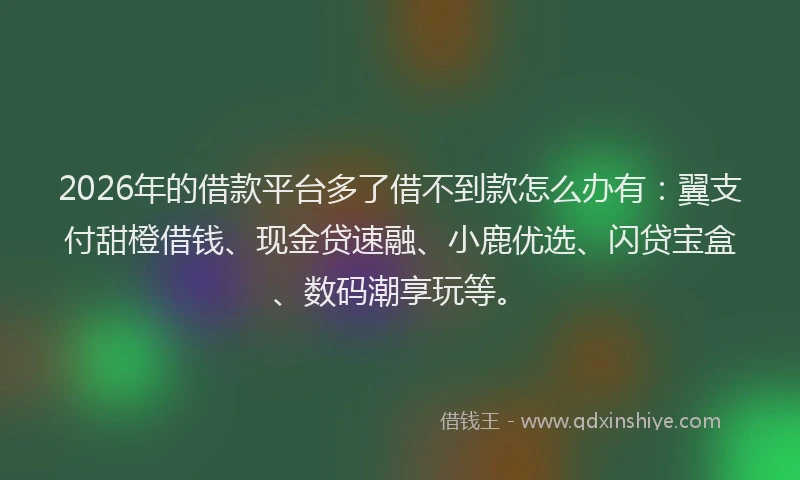 2026年的借款平台多了借不到款怎么办有:翼支付甜橙借钱、现金贷速融、小鹿优选、闪贷宝盒、数码潮享玩等。