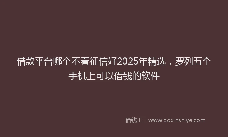 借款平台哪个不看征信好2025年精选，罗列五个手机上可以借钱的软件