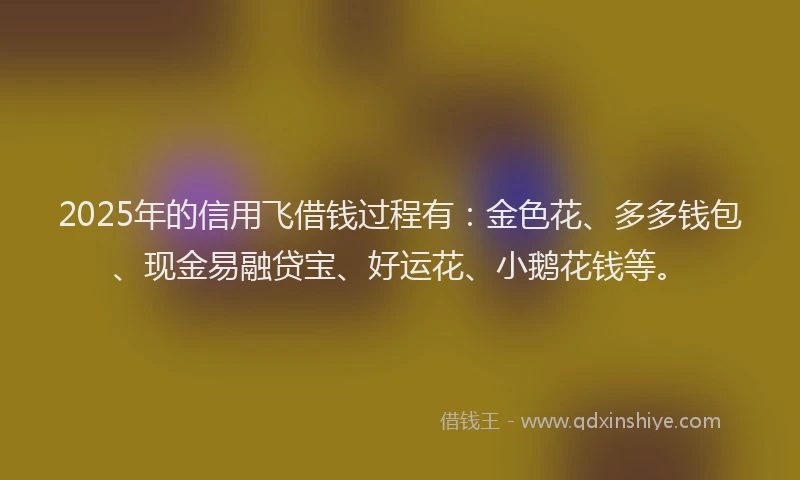 2025年的信用飞借钱过程有：金色花、多多钱包、现金易融贷宝、好运花、小鹅花钱等。