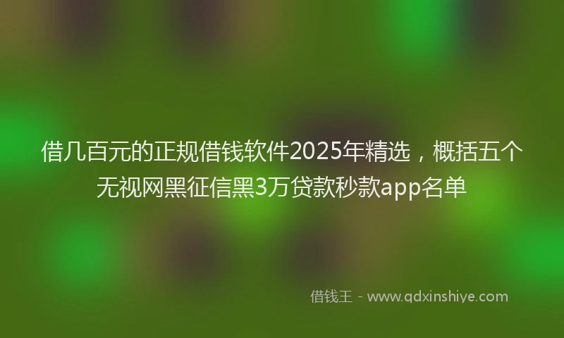 借几百元的正规借钱软件2025年精选，概括五个无视网黑征信黑3万贷款秒款app名单