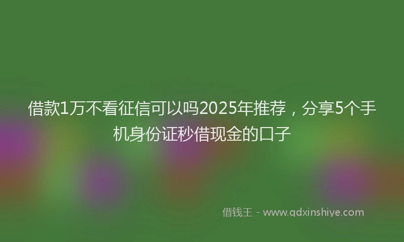 借款1万不看征信可以吗2025年推荐,分享5个手机身份证秒借现金的口子