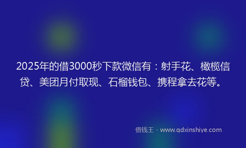2025年的借3000秒下款微信有：射手花、橄榄信贷、美团月付取现、石榴钱包、携程拿去花等。