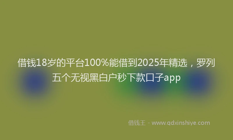 借钱18岁的平台100%能借到2025年精选，罗列五个无视黑白户秒下款口子app