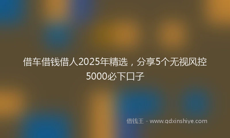 借车借钱借人2025年精选，分享5个无视风控5000必下口子