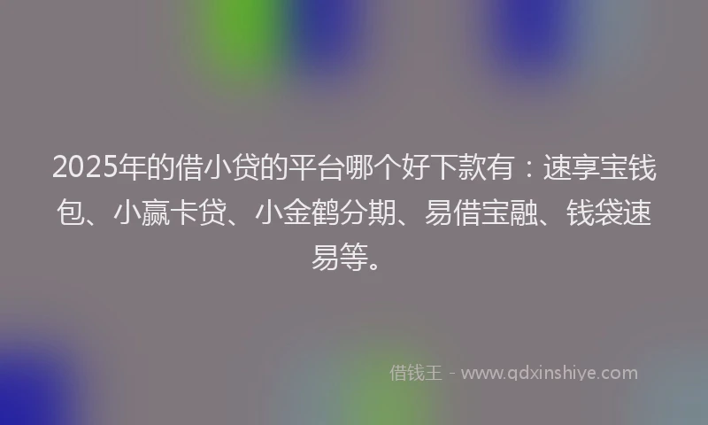 2025年的借小贷的平台哪个好下款有:速享宝钱包、小赢卡贷、小金鹤分期、易借宝融、钱袋速易等。