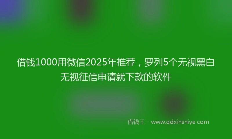 借钱1000用微信2025年推荐，罗列5个无视黑白无视征信申请就下款的软件