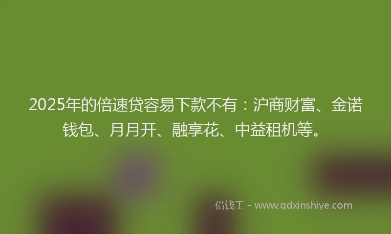 2025年的倍速贷容易下款不有:沪商财富、金诺钱包、月月开、融享花、中益租机等。
