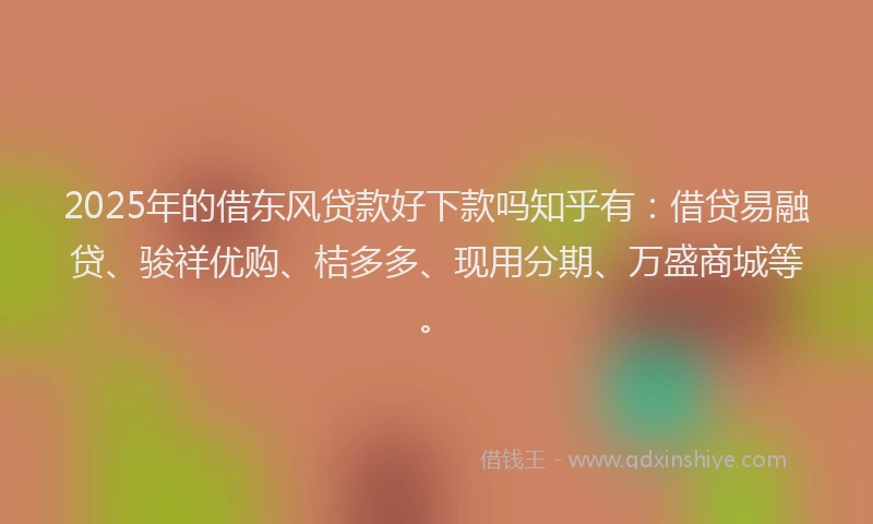 2025年的借东风贷款好下款吗知乎有:借贷易融贷、骏祥优购、桔多多、现用分期、万盛商城等。