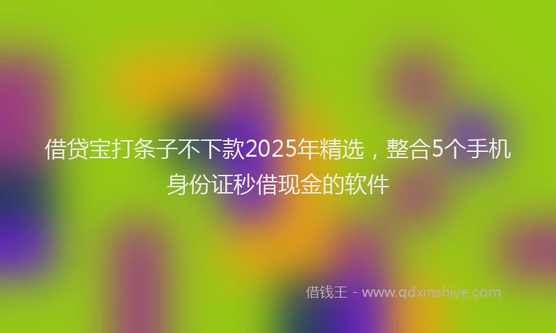 借贷宝打条子不下款2025年精选,整合5个手机身份证秒借现金的软件