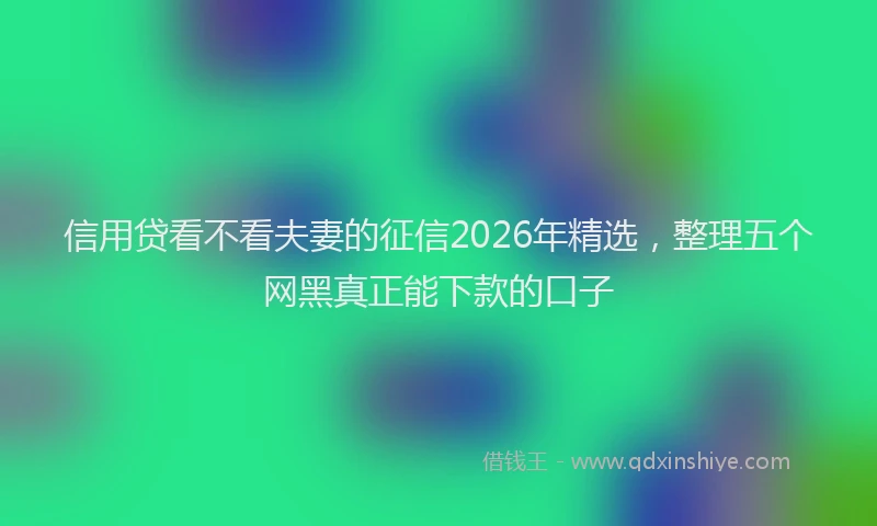 信用贷看不看夫妻的征信2026年精选，整理五个网黑真正能下款的口子
