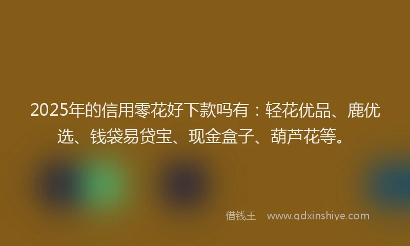 2025年的信用零花好下款吗有:轻花优品、鹿优选、钱袋易贷宝、现金盒子、葫芦花等。