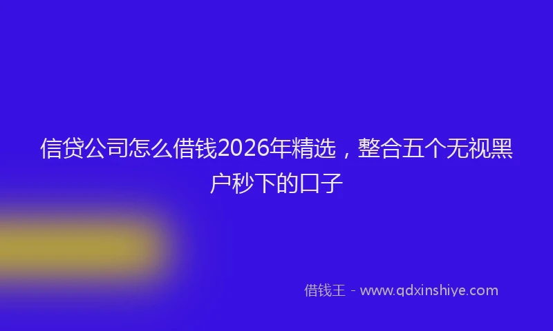 信贷公司怎么借钱2026年精选，整合五个无视黑户秒下的口子