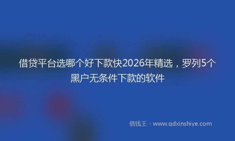 借贷平台选哪个好下款快2026年精选,罗列5个黑户无条件下款的软件