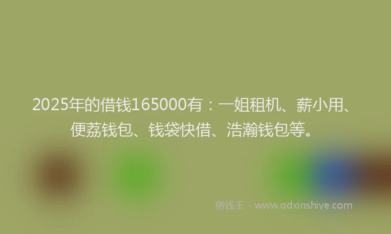 2025年的借钱165000有：一姐租机、薪小用、便荔钱包、钱袋快借、浩瀚钱包等。