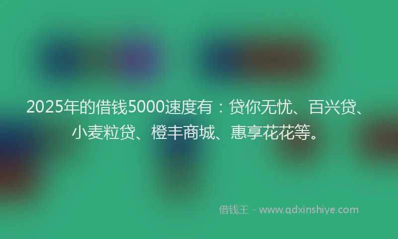 2025年的借钱5000速度有：贷你无忧、百兴贷、小麦粒贷、橙丰商城、惠享花花等。