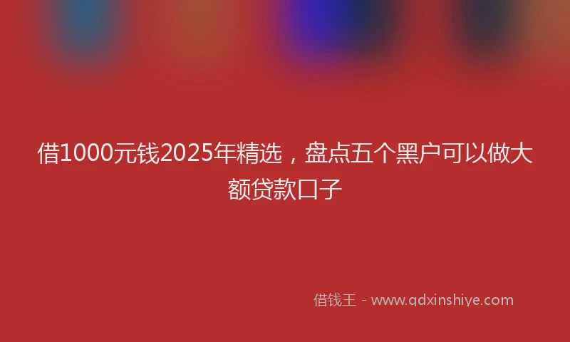 借1000元钱2025年精选，盘点五个黑户可以做大额贷款口子