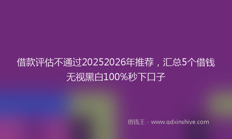 借款评估不通过20252026年推荐，汇总5个借钱无视黑白100%秒下口子