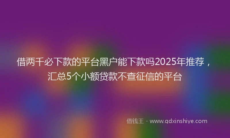 借两千必下款的平台黑户能下款吗2025年推荐，汇总5个小额贷款不查征信的平台
