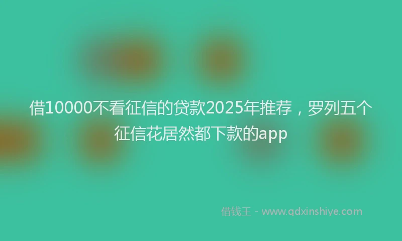 借10000不看征信的贷款2025年推荐，罗列五个征信花居然都下款的app