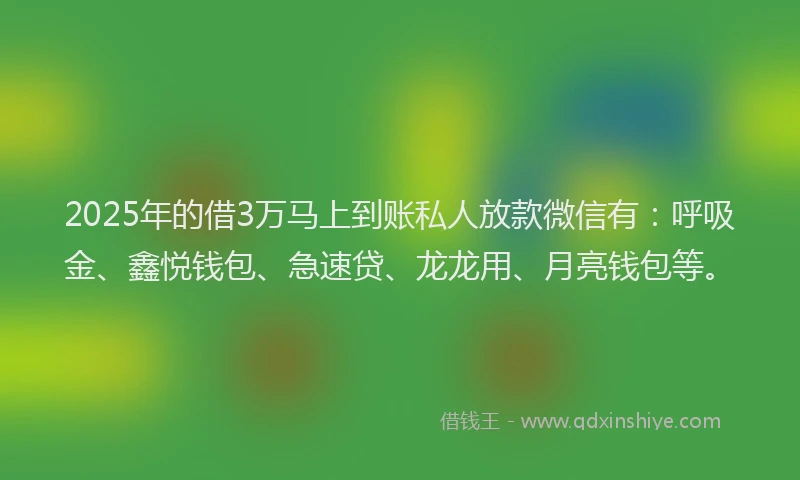 2025年的借3万马上到账私人放款微信有:呼吸金、鑫悦钱包、急速贷、龙龙用、月亮钱包等。